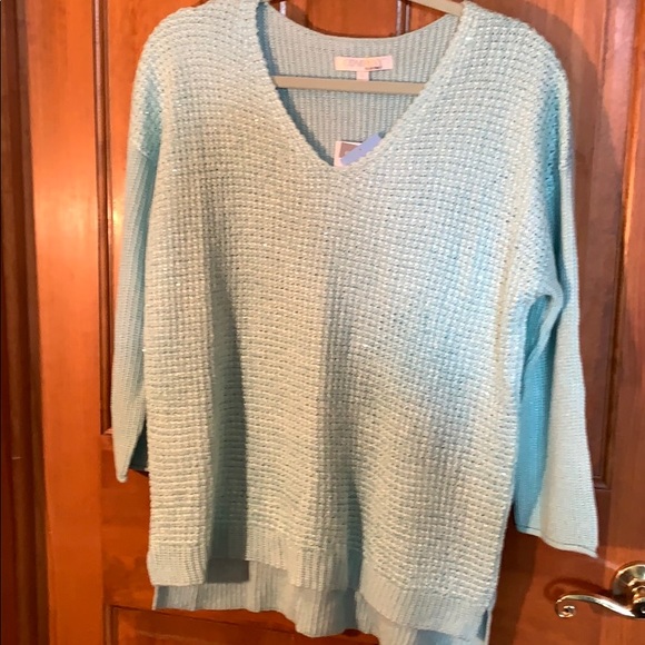 company, ellen tracy Sweaters - Mint green long sleeves sweater